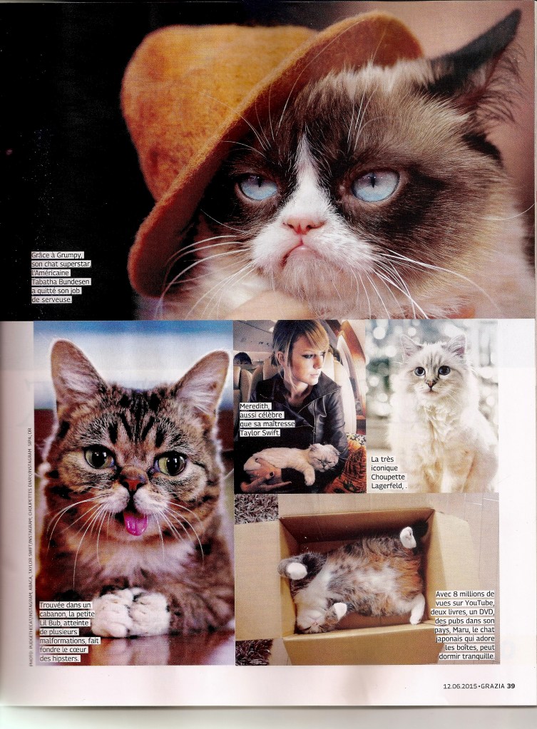 Catcon Grazia 2